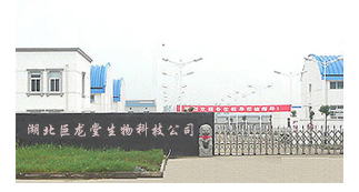 湖北巨龍堂醫藥化工有限公司logo