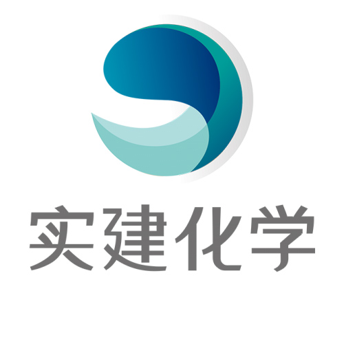上海實建實業有限公司logo